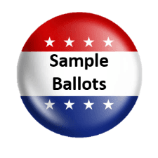 Sample Ballots Pin